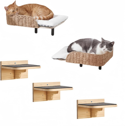 Confezione cuccia per - confezione, gatti