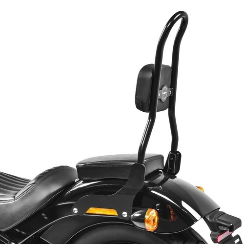 Sissy bar csl fix - sissy,