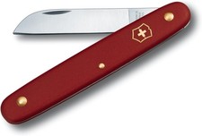 Victorinox Ecoline coltello da innesto dritto, rosso qualità extra