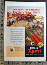 1935 SPORT HUNT BIRD DOG