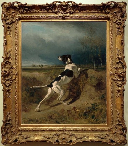 Quadro olio vintage - cane, scena