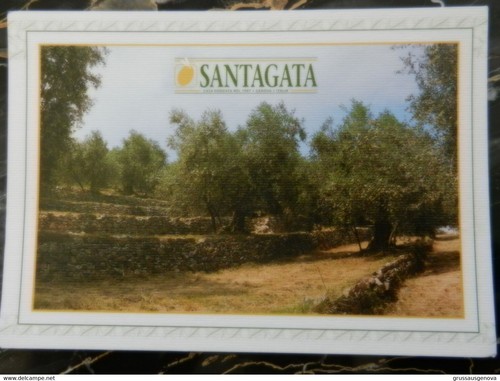20102 pubblicitaria olio - 20102),