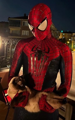 Costume cosplay the amazing - costume,