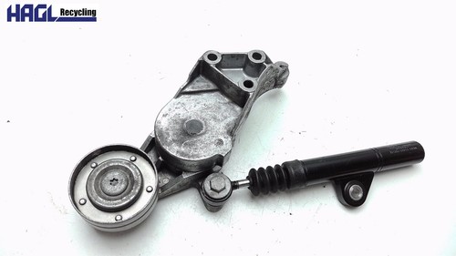 Rullo tensionatore cinghia - tensionatore,