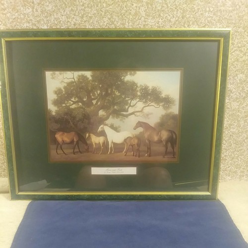 Quadro vintage mares puledri - vintage,