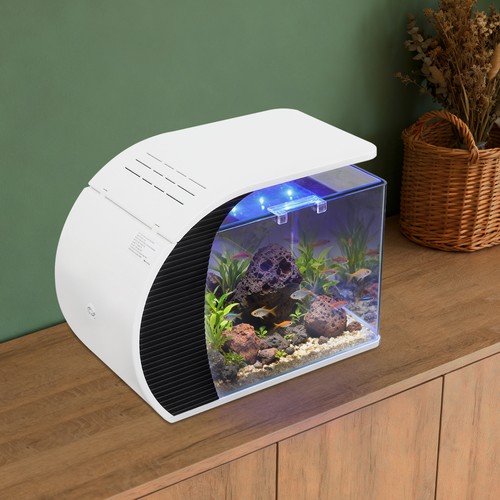 Piccolo acquario vetro con - vetro,