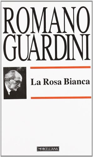 Rosa bianca romano - bianca,