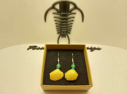Fossil shell cardium orecchini - shell,