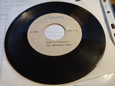 THE PEPPERMINT RIOT TEEN CHICAGO GARAGE BAND UNIVERSAL ACETATE HEAR!