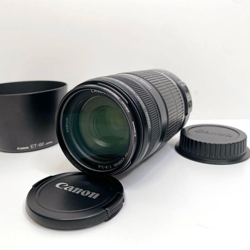 Canon efs 250mm telephoto - canon,