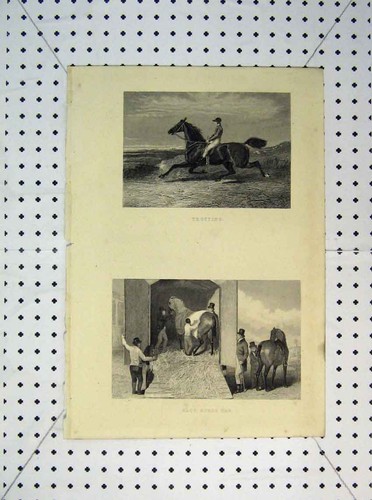 Vecchia stampa antica
