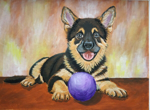Ritratto cucciolo di - ritratto,
