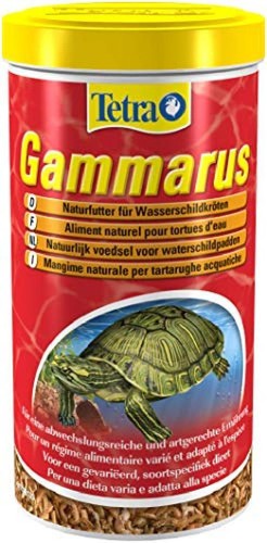 Tetra gammarus cibo - gammarus,, naturale