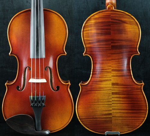Amazing master violino - master, a