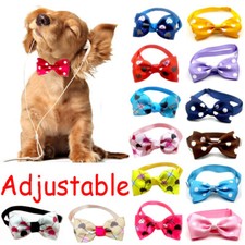 Simpatico Papillon A Pois Per