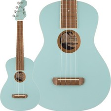 Fender Acoustics Spring Classe