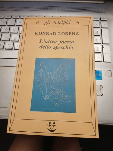 Altra faccia dello - faccia,