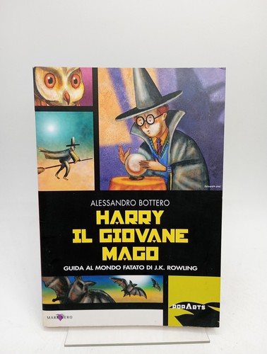 Harry giovane mago - harry, guida
