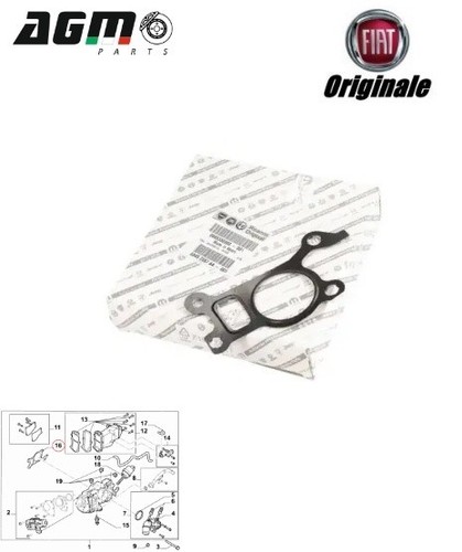 Guarnizione valvola egr