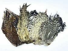 1x Piuma del collo del gallo