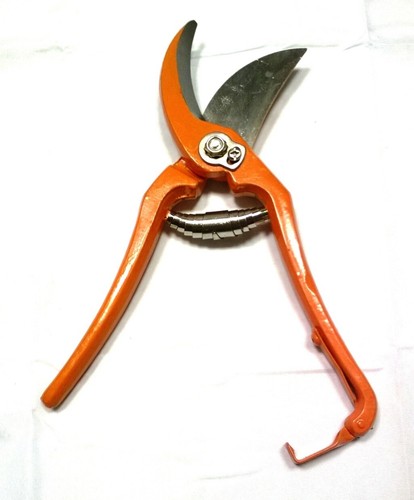 Corriere exp forbice - exp.,