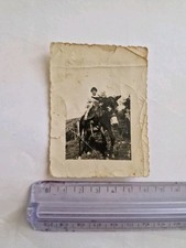 Foto Old Photo Ritratto Bambino su Mulo AR2266 ^