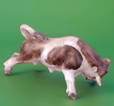 Cacciapuoti Ceramica