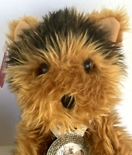 Yorkshire Terrier coppia cani