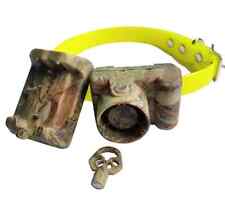 beeper x pointer cacciatore di beccacce e quaglie