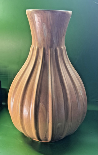 Lavenia guido - ,