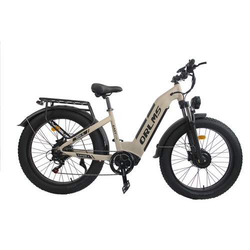 Bici elettrica pieghevole 250w - elettrica,