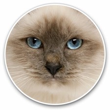 2 x Vinyl Stickers 20cm - Blue