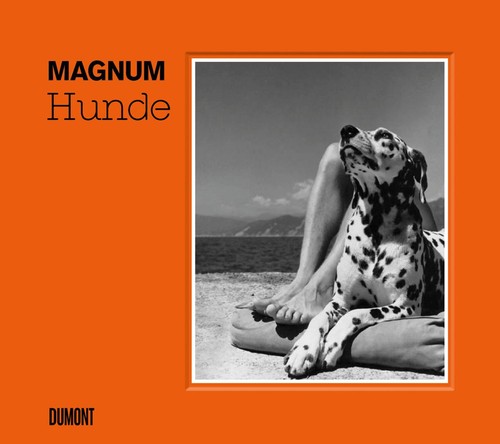 Magnum photos hunde - magnum,