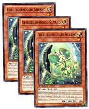 Set 3X CHERUBGERMOGLIO SILVANO