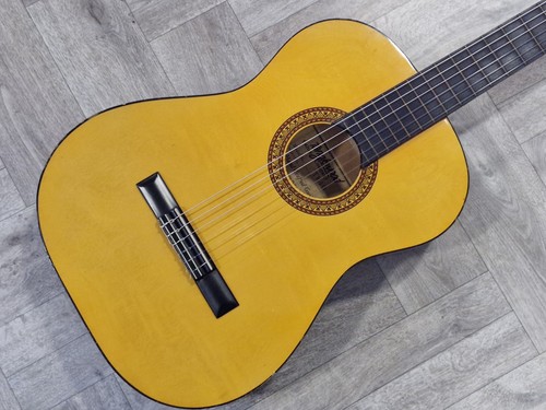 Tanglewood tw40 chitarra - tanglewood,