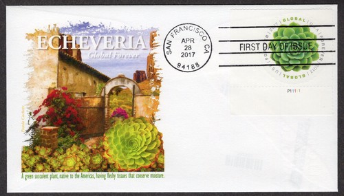 2017 echeveria global - global, (5198)
