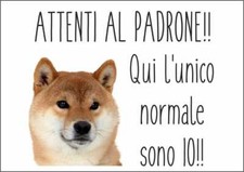 CARTELLO SEGNALETICO - SHIBA INU ATTENTI AL PADRONE- segnale