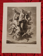 MADONNA IMMACOLATA ASSUNZIONE