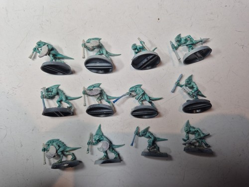 X12 skink schermagliatori - skink,