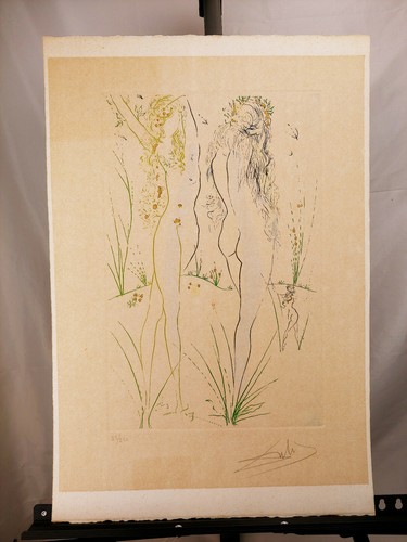 Salvador dali litografia the - dali,