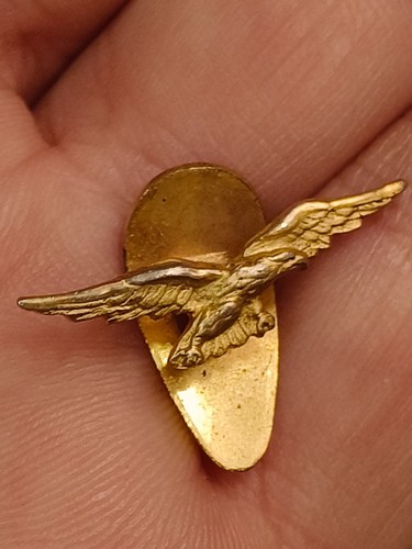 Spilla distintivo aquila - spilla,