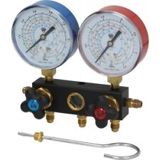 GRUPPO MANOMETRICO 2 VIE A MEMBRANA 3394096