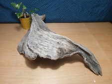 Grande pezzo di legno naturale alla deriva, terrario, recinto per animali domestici, tassidermia, arti/artigianato