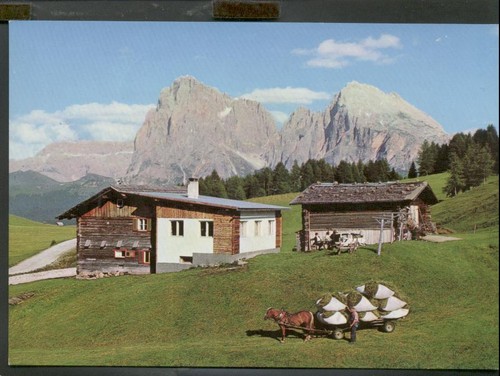 Alpe siusi - alpe,