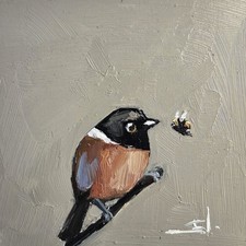 STONECHAT DIPINTO OLIO