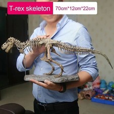 Large diy dinosaur skeleton - large,