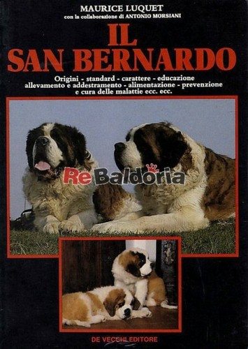 San bernardo vecchi - il,