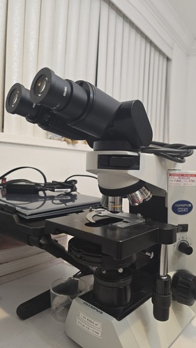 Olympus cx41rf microscopio - olympus,