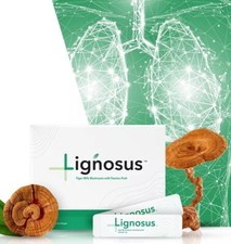 6 x Lignosus | Miglior