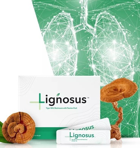 Lignosus miglior - 3, x